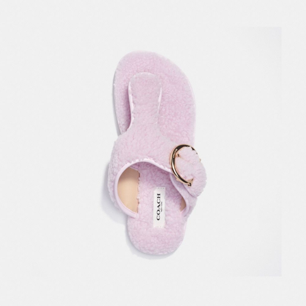 hollie flip flop coach