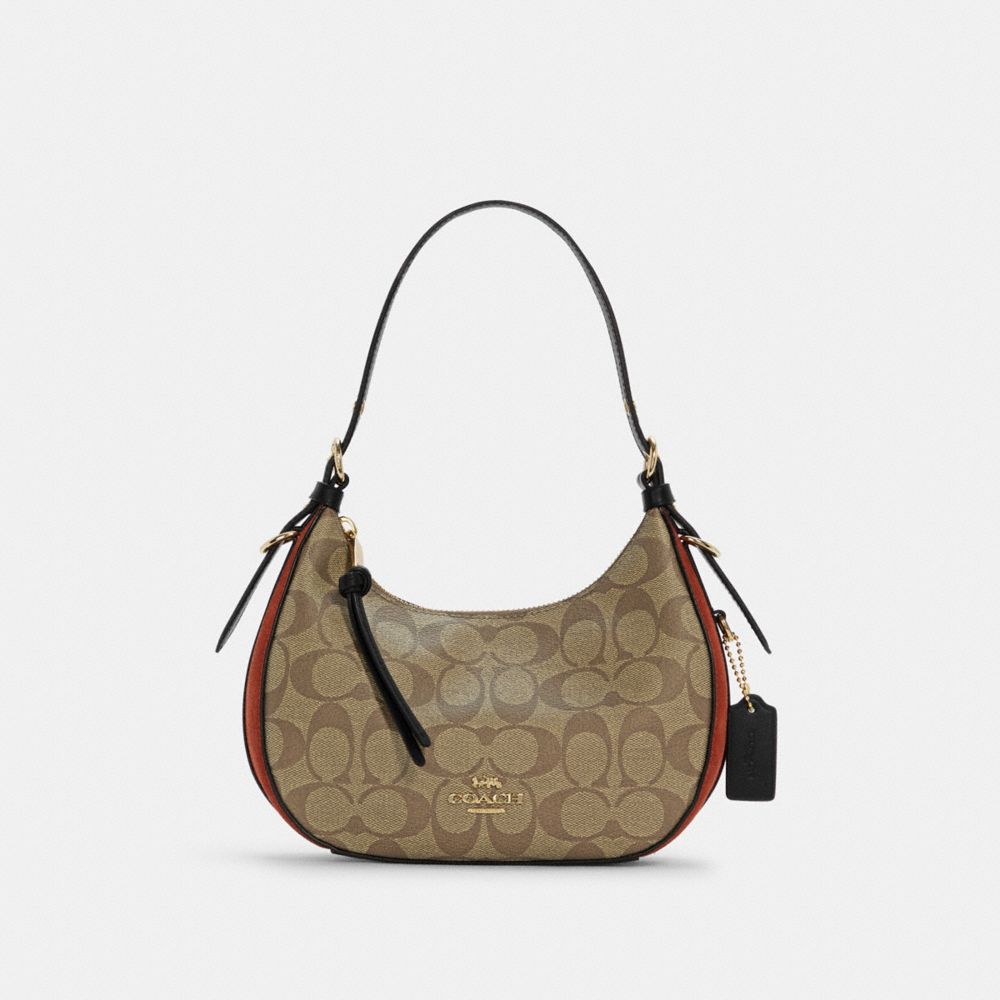 Coach Small Signature Hobo Bag