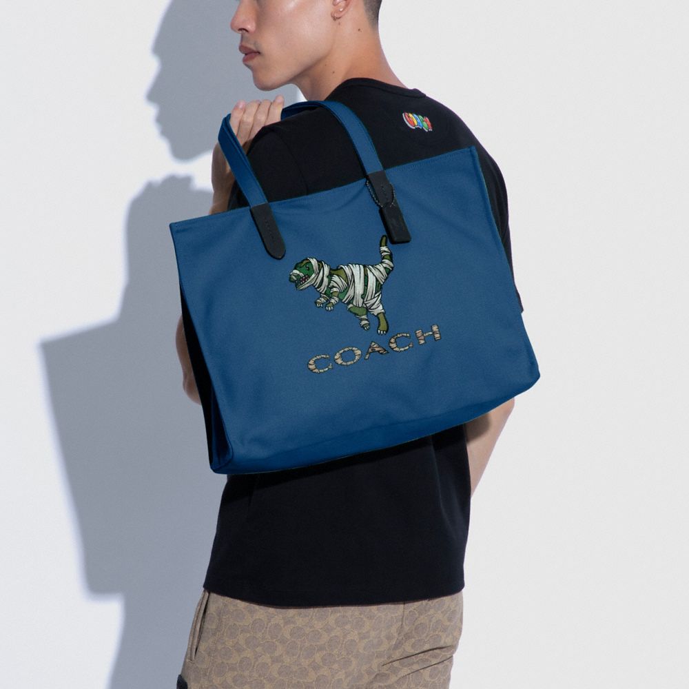 Coach dinosaur bag