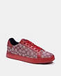 COACH®,CLIP LOW TOP SNEAKER,Burgundy,Front View