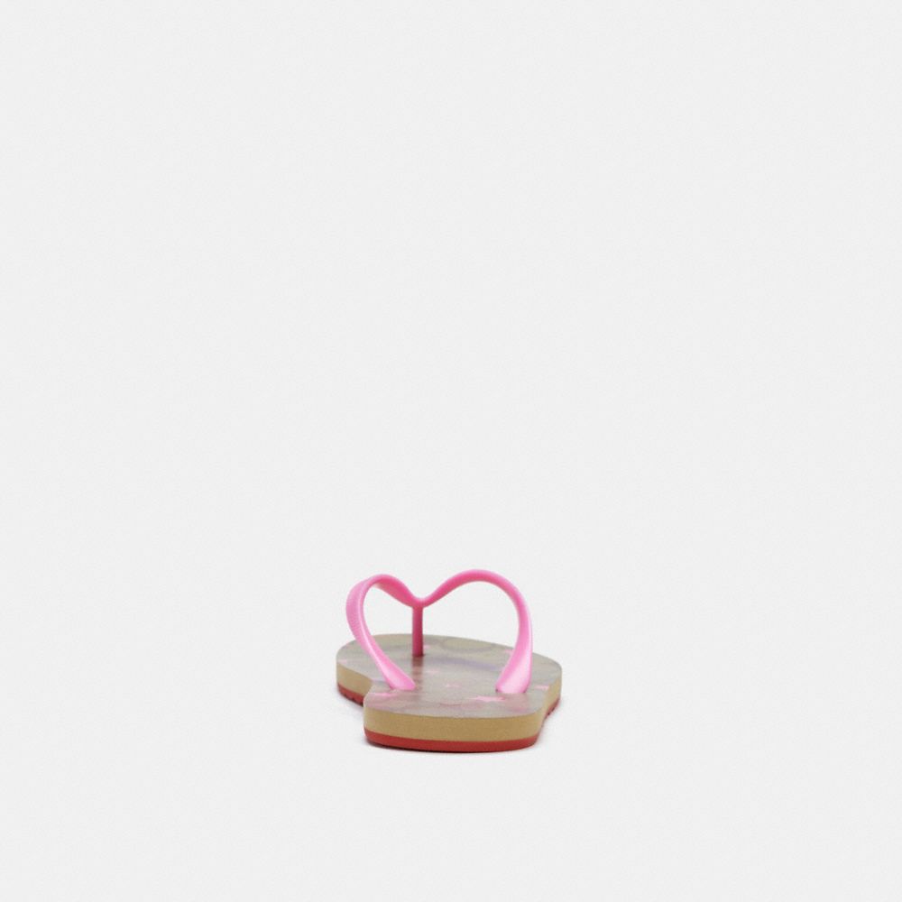 Pink Flip Flop (3074358)