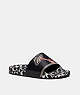 COACH®,DISNEY MICKEY MOUSE X KEITH HARING SLIDE,Rubber,Chalk/Black,Front View