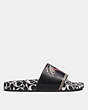 COACH®,DISNEY MICKEY MOUSE X KEITH HARING SLIDE,Rubber,Chalk/Black,Angle View