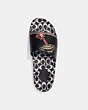 COACH®,DISNEY MICKEY MOUSE X KEITH HARING SLIDE,Rubber,Chalk/Black,Inside View,Top View
