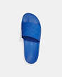 COACH®,SIGNATURE POOL SLIDE,Rubber,Blue Fin,Inside View,Top View