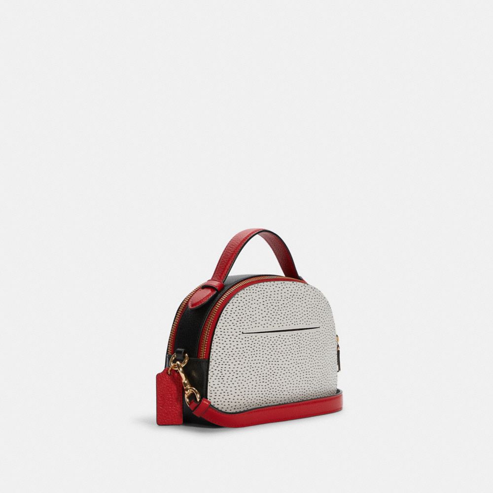 coach multi pochette｜TikTok Search