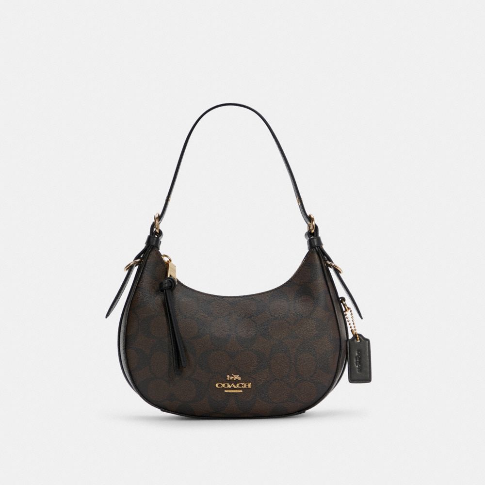 Small coach 2024 hobo bag