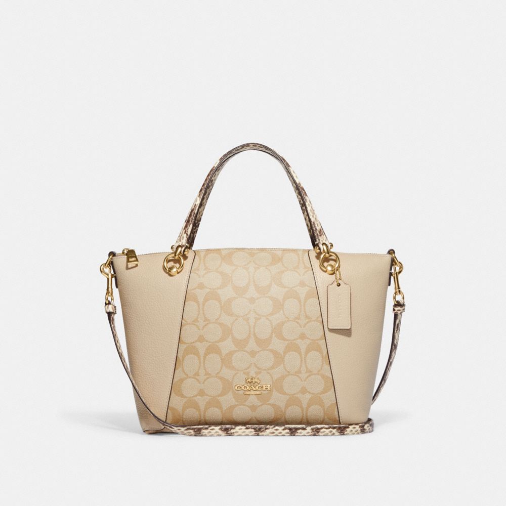 ted baker circle purse