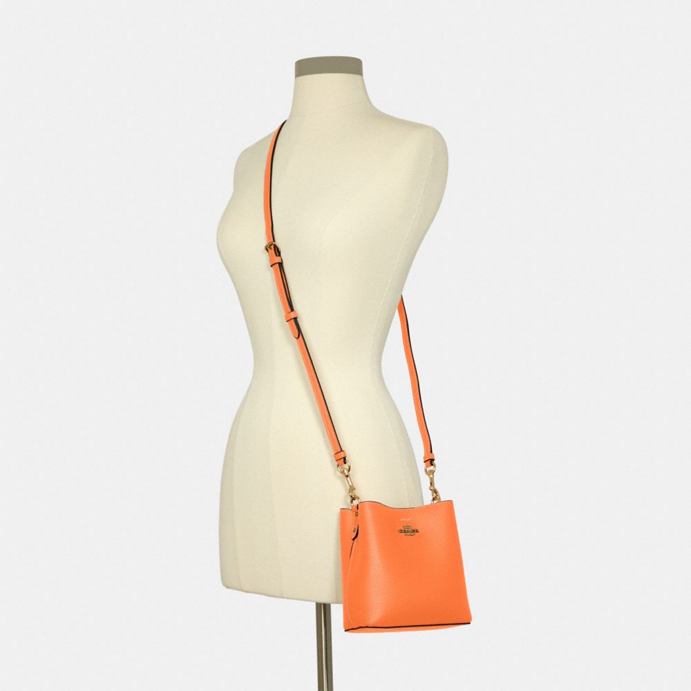 Town bucket bag online coach outlet