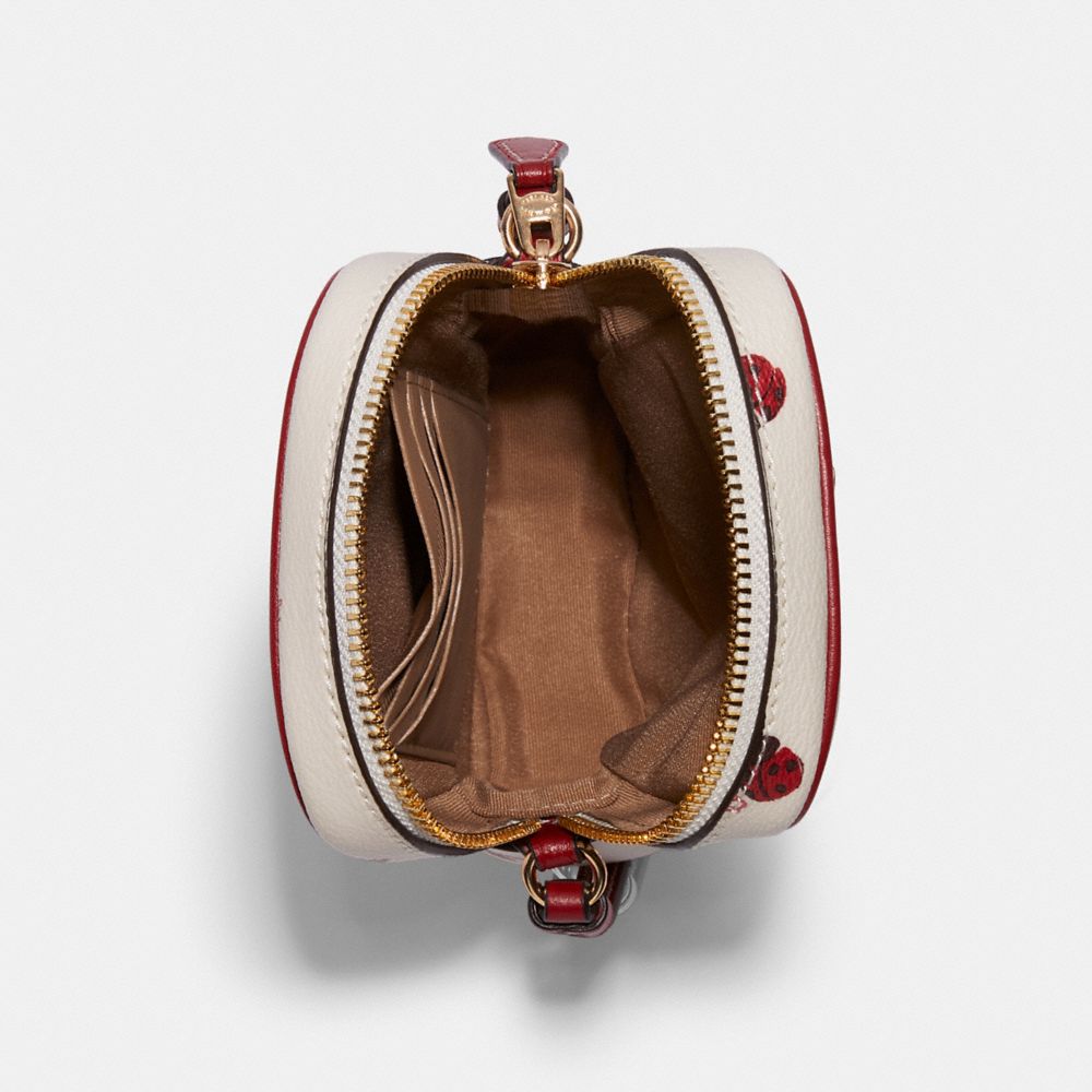 COACH®,North/South Zip Phone Crossbody With Ladybug Floral Print,,Inside View,Top View