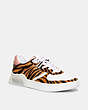 COACH®,CITYSOLE COURT SNEAKER,Haircalf/Leather,Zebra/ Candy Pink,Front View