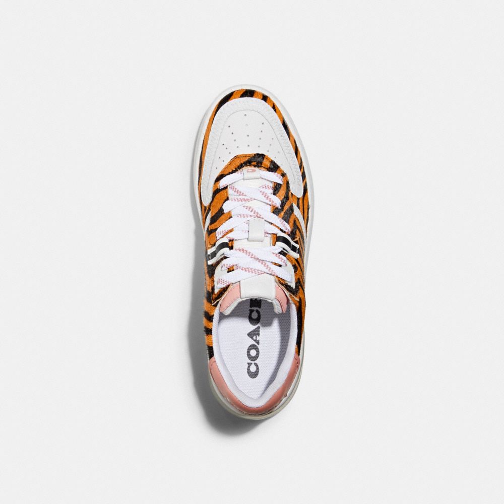 COACH®,CITYSOLE COURT SNEAKER,Haircalf/Leather,Zebra/ Candy Pink,Inside View,Top View