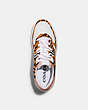 COACH®,CITYSOLE COURT SNEAKER,Haircalf/Leather,Zebra/ Candy Pink,Inside View,Top View