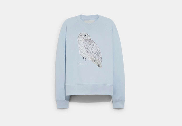 Owl Sweatshirt In Organic Cotton