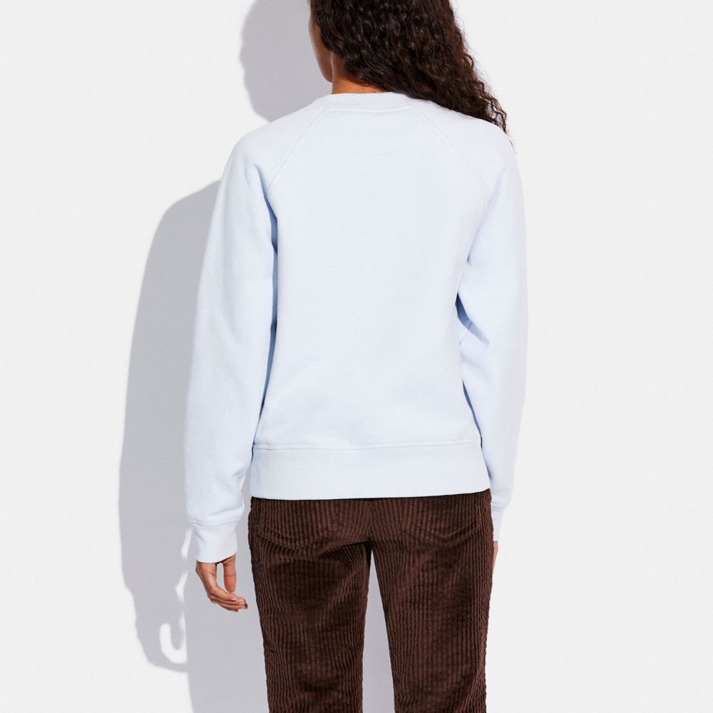 Owl Sweatshirt In Organic Cotton