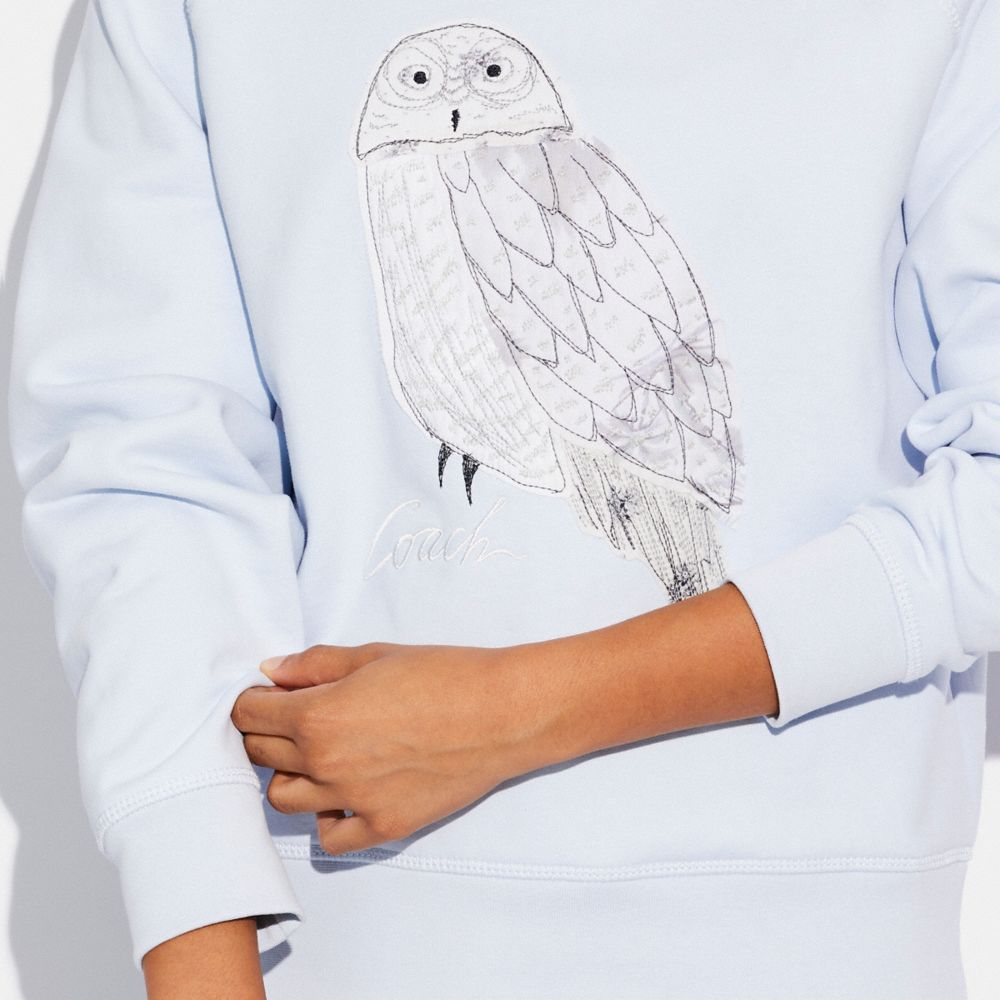 Owl sweatshirt sales