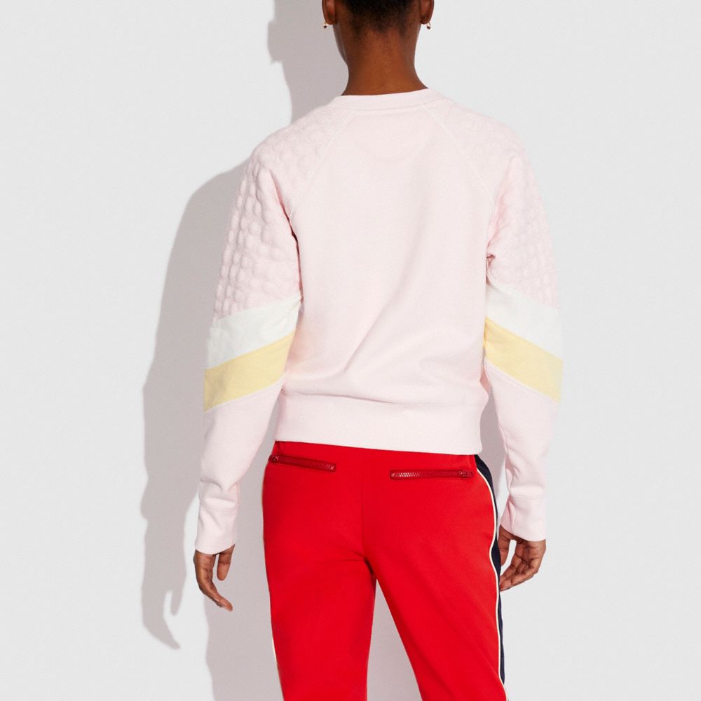 Ski Sweatshirt In Organic Cotton