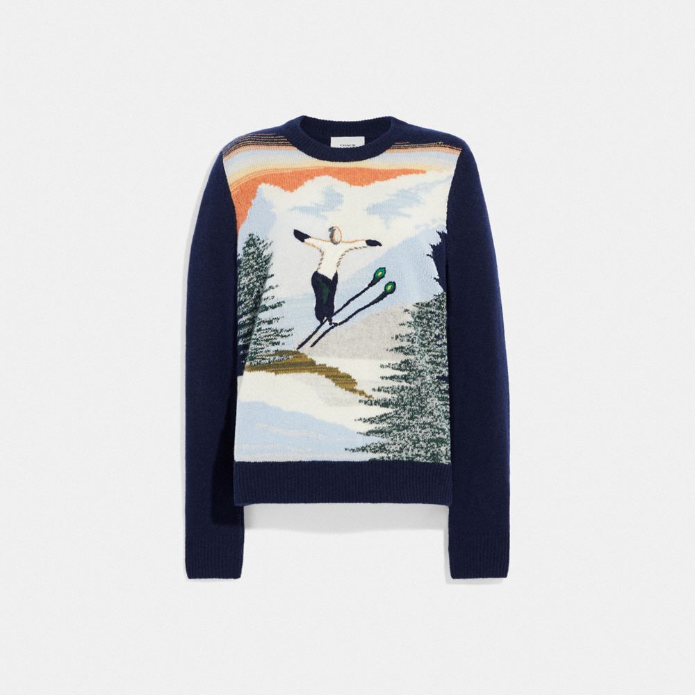 Sweater Gray Wool and Cashmere Intarsia