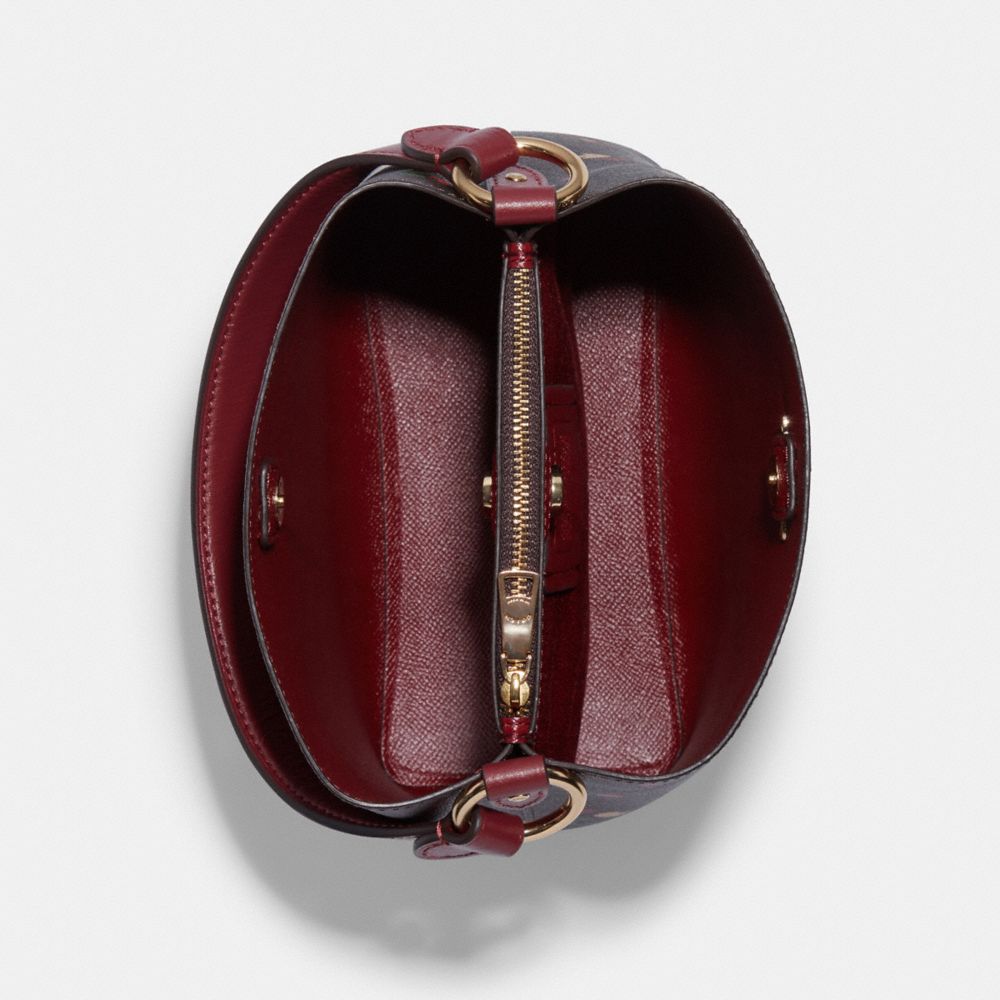 Small Town Bucket Bag In Signature Canvas With Heart Petal Print