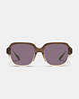 COACH®,SQUARE SUNGLASSES,Trans Brown Grad/ Navy,Inside View,Top View