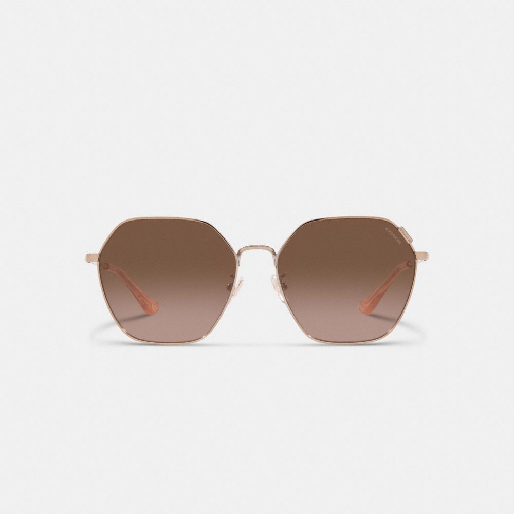 Metal Hexagon Sunglasses