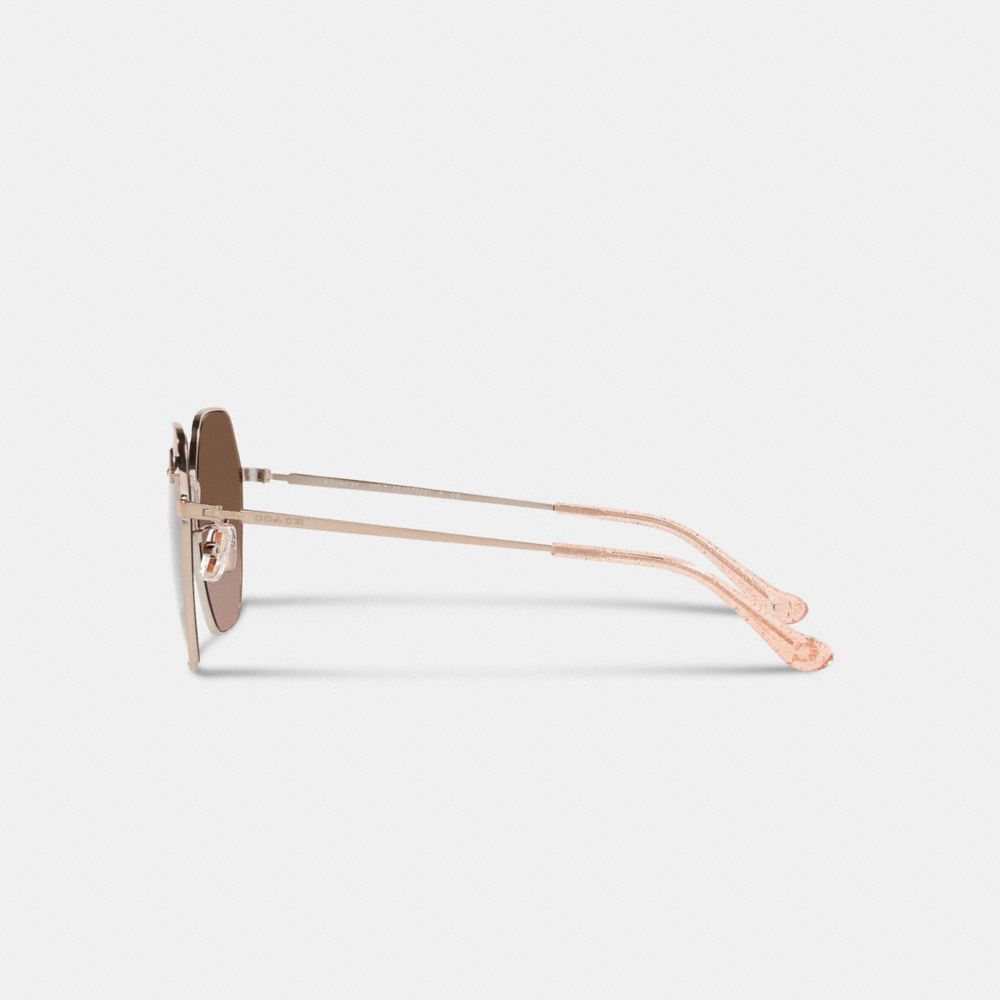 Metal Hexagon Sunglasses