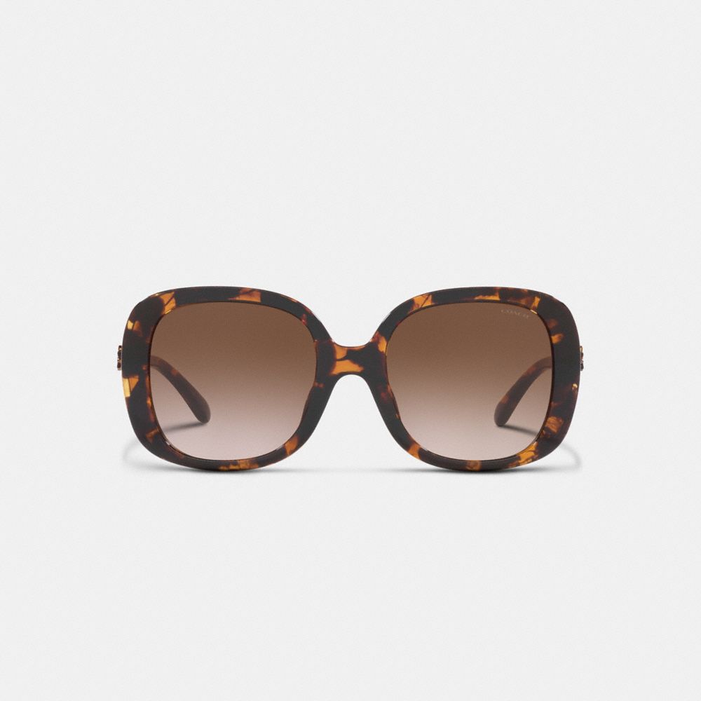 COACH®,WILDFLOWER SQUARE SUNGLASSES,Dark Tortoise,Inside View,Top View