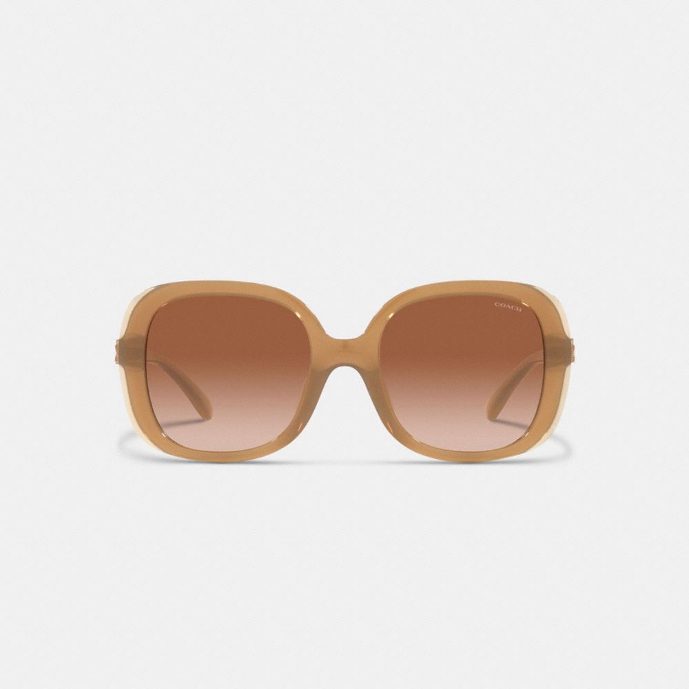 COACH®,WILDFLOWER SQUARE SUNGLASSES,Milky Beige,Inside View,Top View