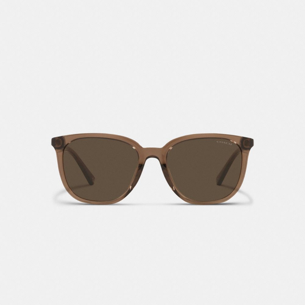 Signature Round Sunglasses