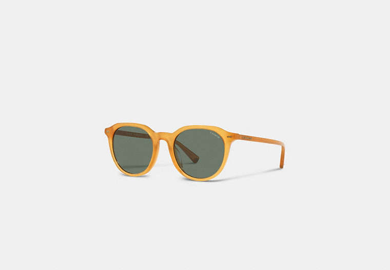 COACH®,SIGNATURE HEXAGON SUNGLASSES,Milky Amber,Front View