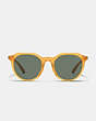 COACH®,SIGNATURE HEXAGON SUNGLASSES,Milky Amber,Inside View,Top View