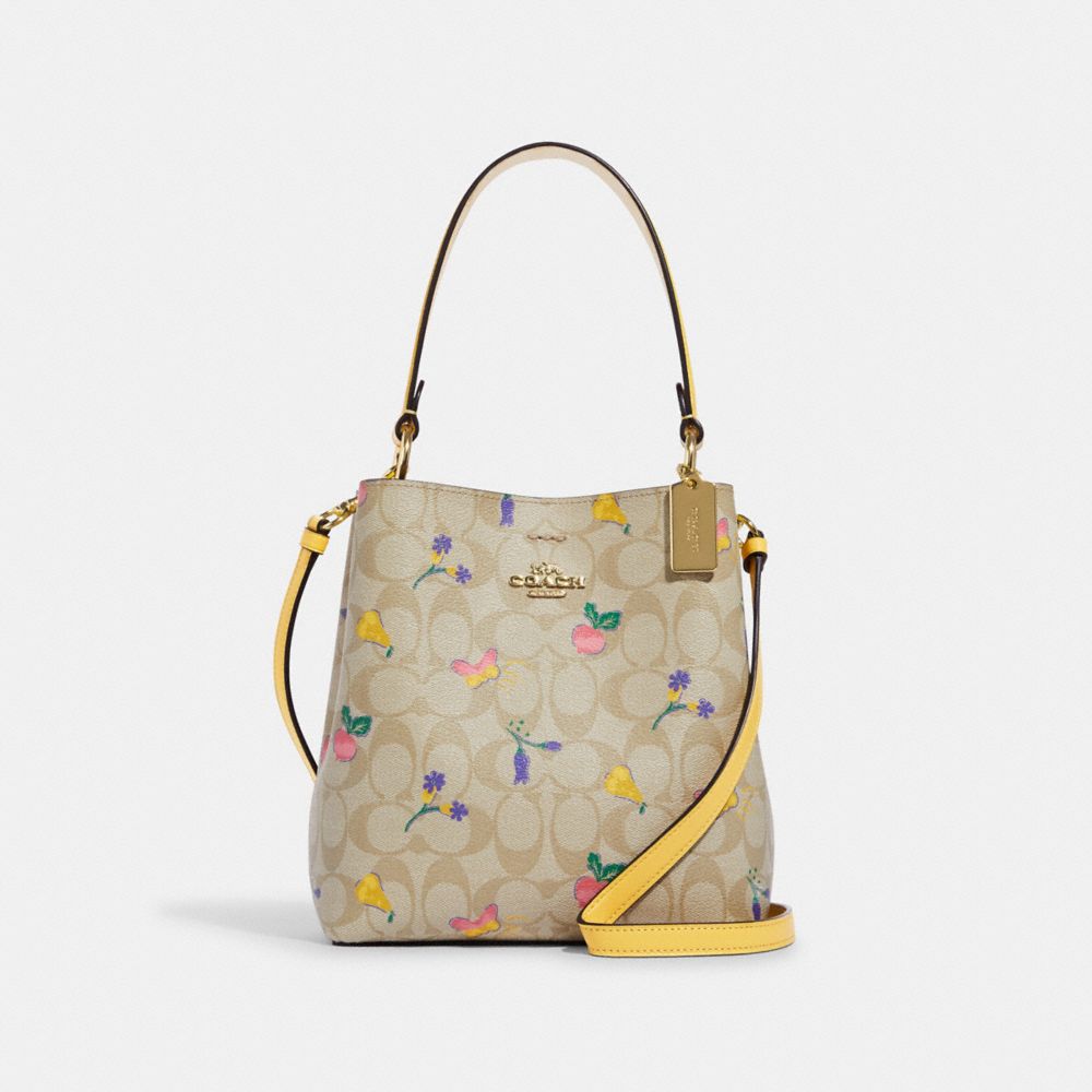 Printed Louis Vuitton Bucket Bag, Size: Regular