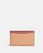 COACH®,TAMMIE CLUTCH CROSSBODY IN COLORBLOCK,Gold/Faded Blush/Taffy,Back View