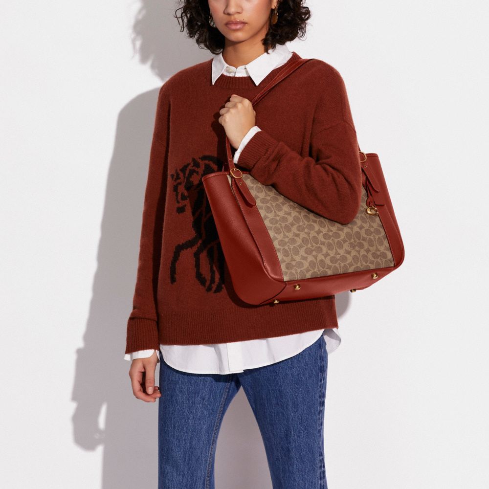 COACH®  Alana Tote In Colorblock