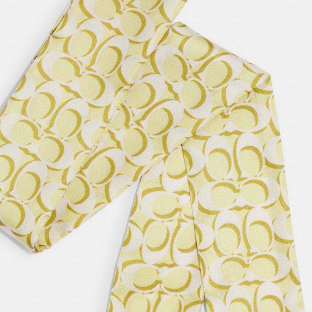 COACH®,シグネチャー プリント シルク スキニー スカーフ,ファッション雑貨,ﾍﾟｰﾙ ﾗｲﾑ