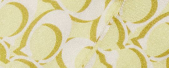 COACH®  Signature Floral Print Silk Skinny Scarf