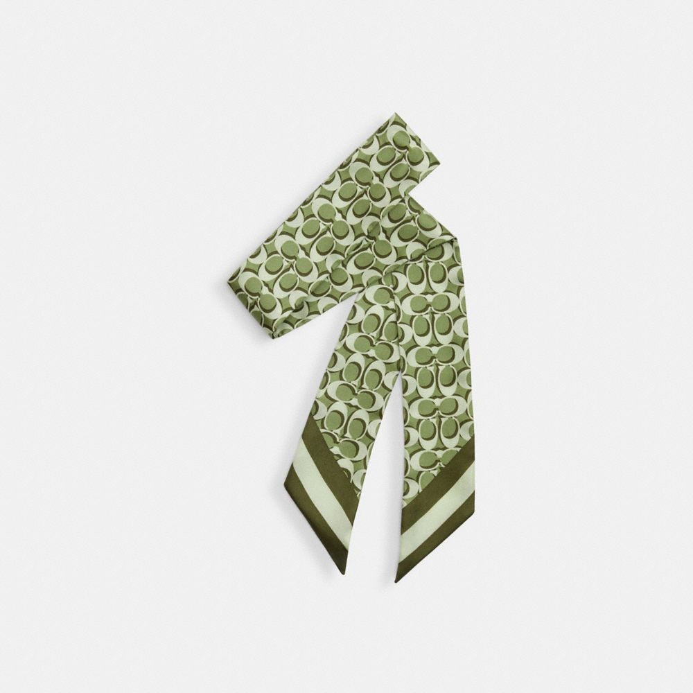 COACH®,SIGNATURE PRINT SILK SKINNY SCARF,Military Green,Front View
