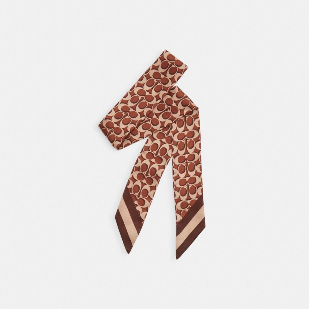 COACH®,ÉCHARPE FINE EN SOIE EXCLUSIVE À MOTIF,Érable,Front View