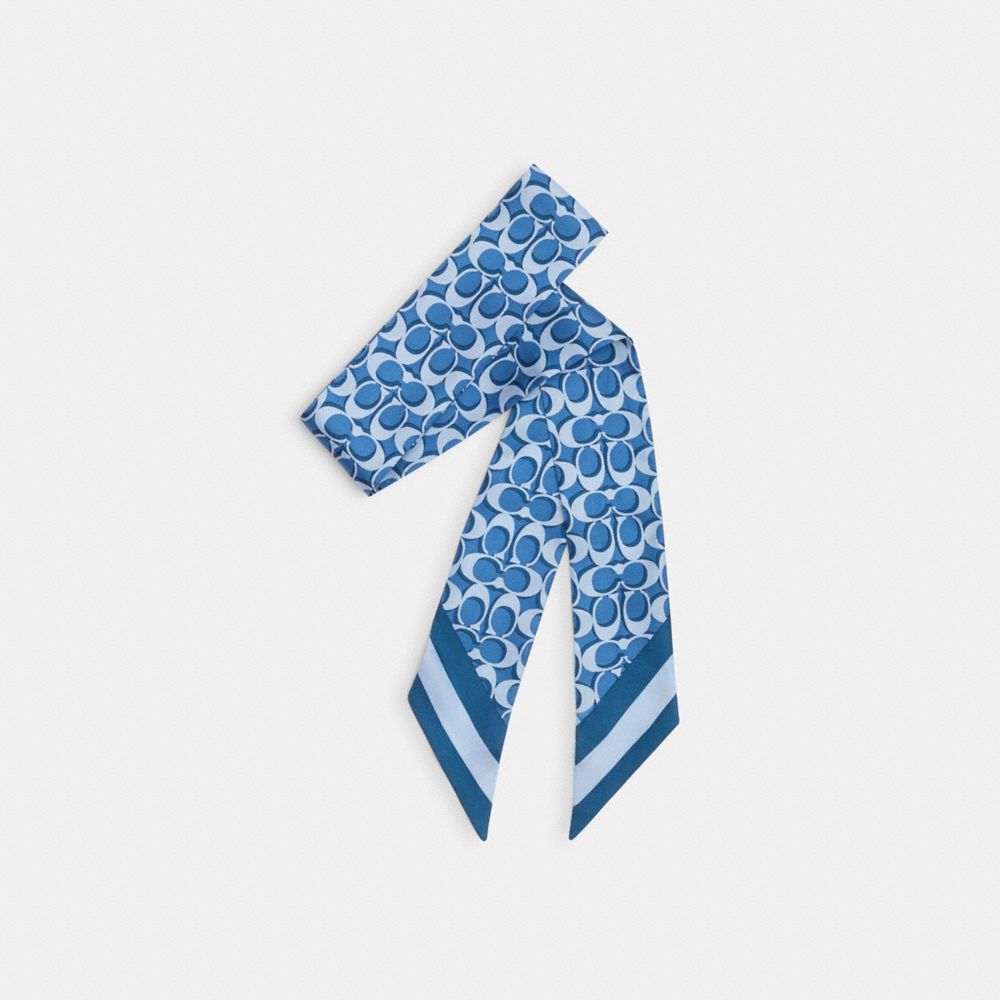 COACH®,SIGNATURE PRINT SILK SKINNY SCARF,Sky Blue,Front View
