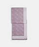 COACH®,HORSE AND CARRIAGE DOT PRINT WRAP,wool,Soft Lilac,Front View