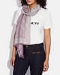 COACH®,HORSE AND CARRIAGE DOT PRINT WRAP,wool,Soft Lilac,Detail View