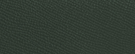 COACH®,WYN CROSSBODY,Crossgrain Leather,Small,Brass/Amazon Green