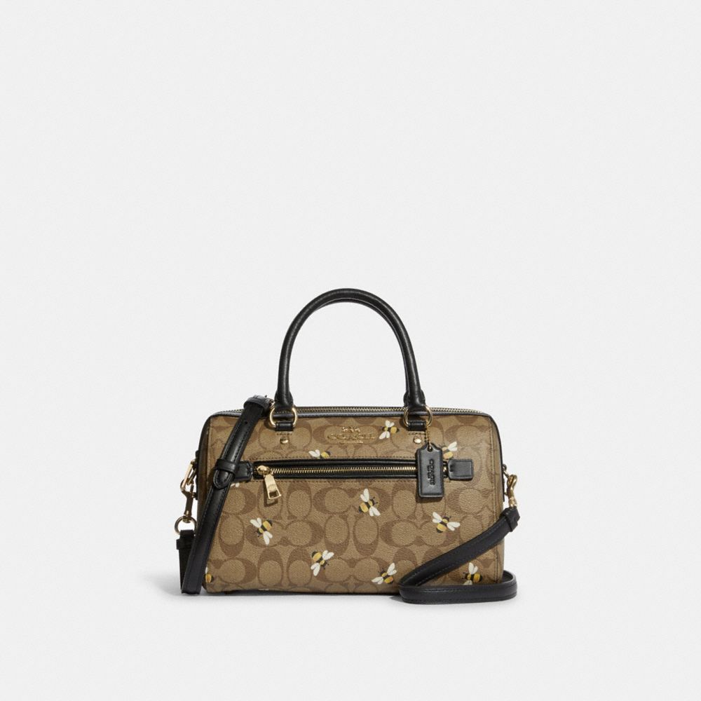 Was on my way to becoming an LV girl then I discovered Coach
