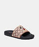 COACH®,DISNEY X COACH SPORT SLIDE IN SIGNATURE TEXTILE JACQUARD WITH MICKEY MOUSE EMBROIDERY,Signature Jacquard,Cocoa,Front View