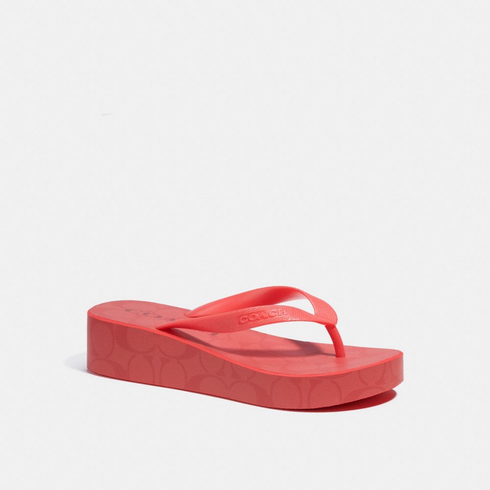 Bass cora flip flops hot sale