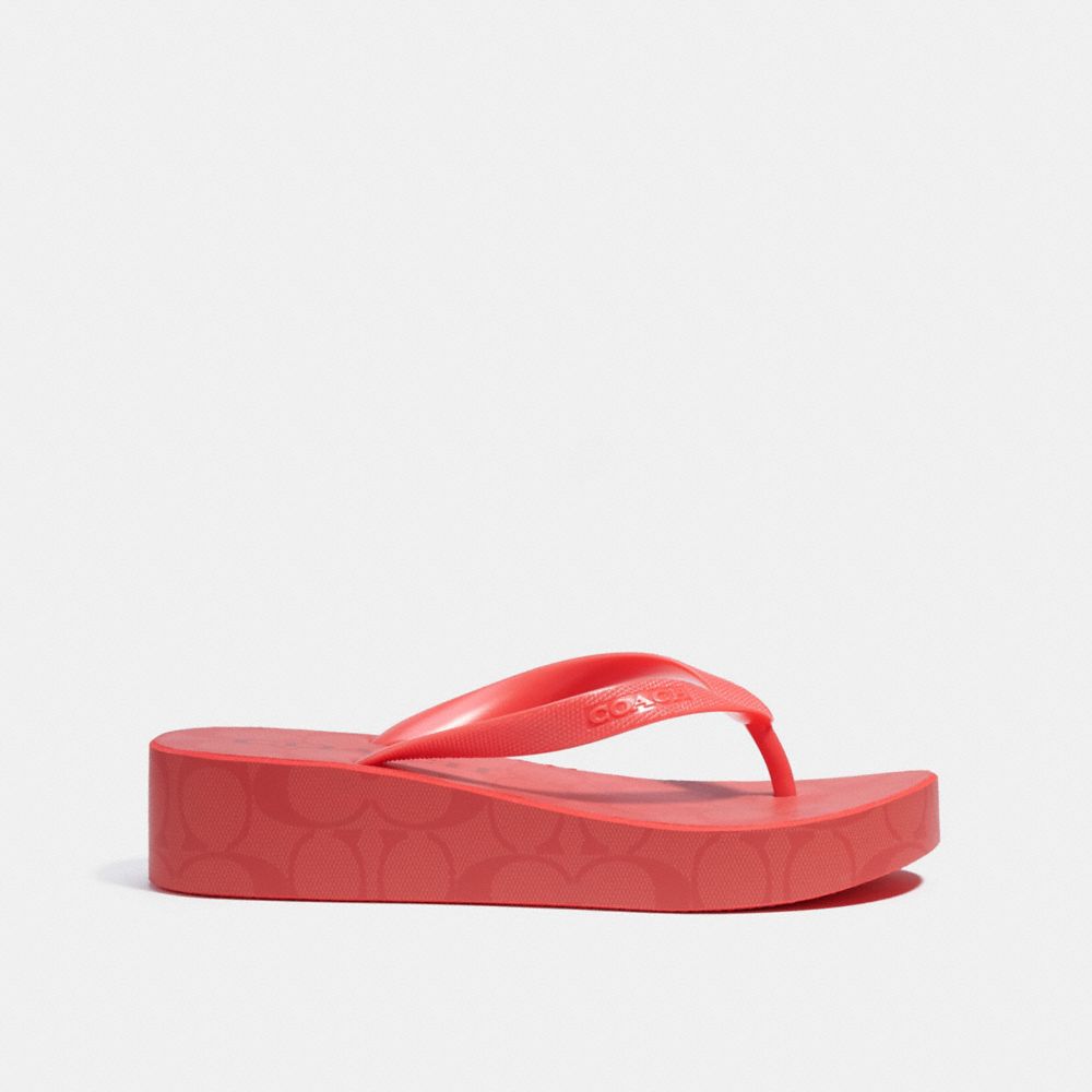 Coach outlet flip flops hot sale