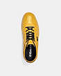 COACH®,CITYSOLE MID TOP SNEAKER,Leather/Mesh,Canary,Inside View,Top View