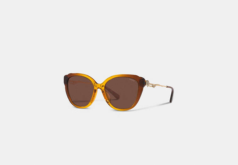 COACH®,TEA ROSE WIRE PETAL CAT EYE SUNGLASSES,Amber,Front View