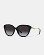 Tea Rose Wire Petal Cat Eye Sunglasses