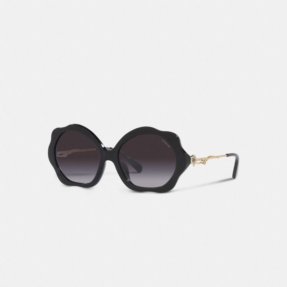 Coach flower cheap sunglasses